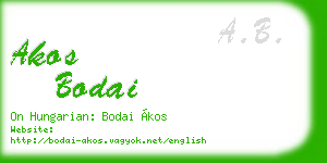 akos bodai business card
